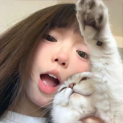 猫咪心动奇迹
