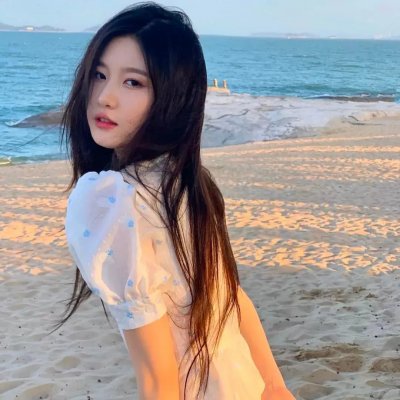 托梅斯的导盲犬